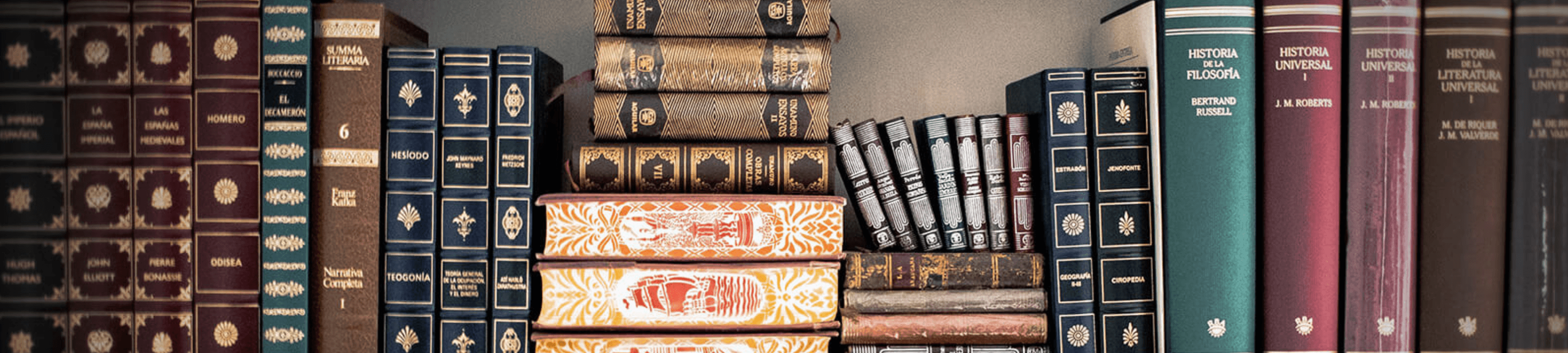 Harshita Singh cover