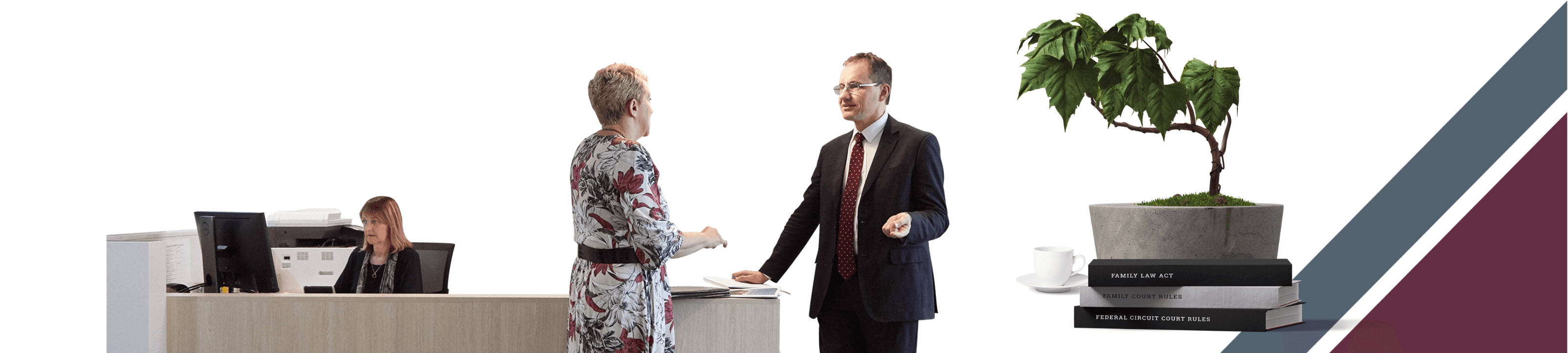 Olivia Grobtuch cover