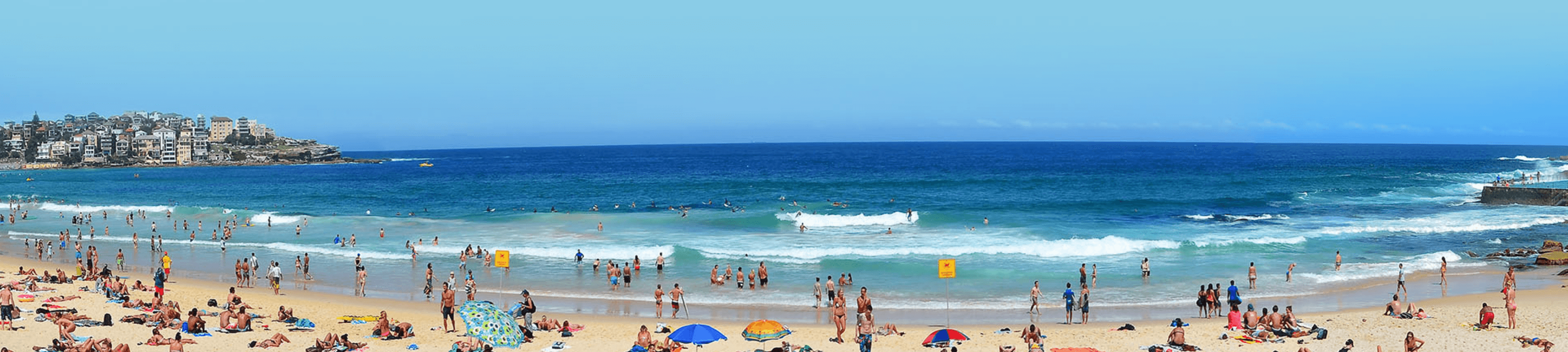 Ruth Macdonald cover