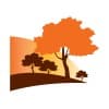 Legal & Governance Officer