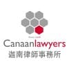 Commercial Litigator