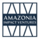 Governance & Impact Director