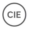 Managing Partner | Commercial lawyer
