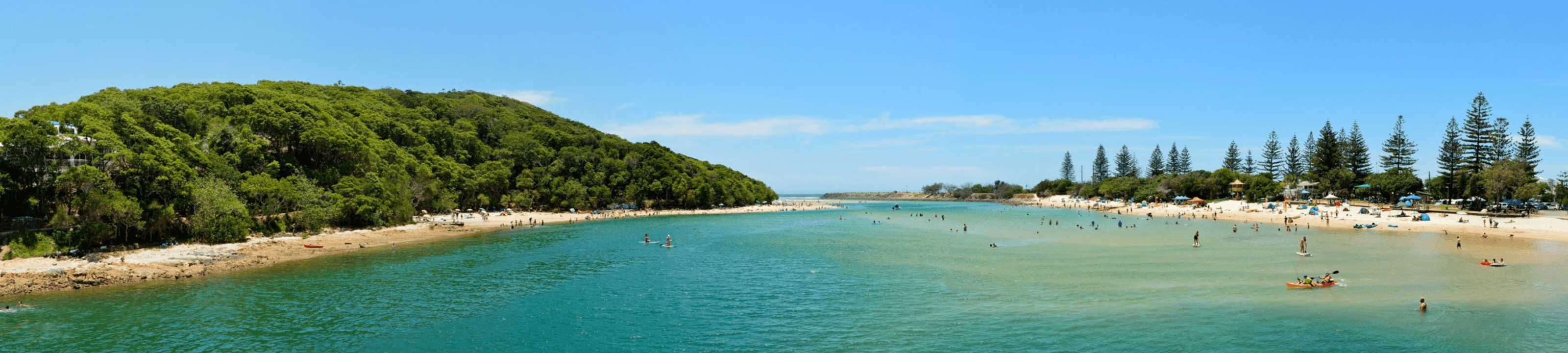 Natasha Harris cover