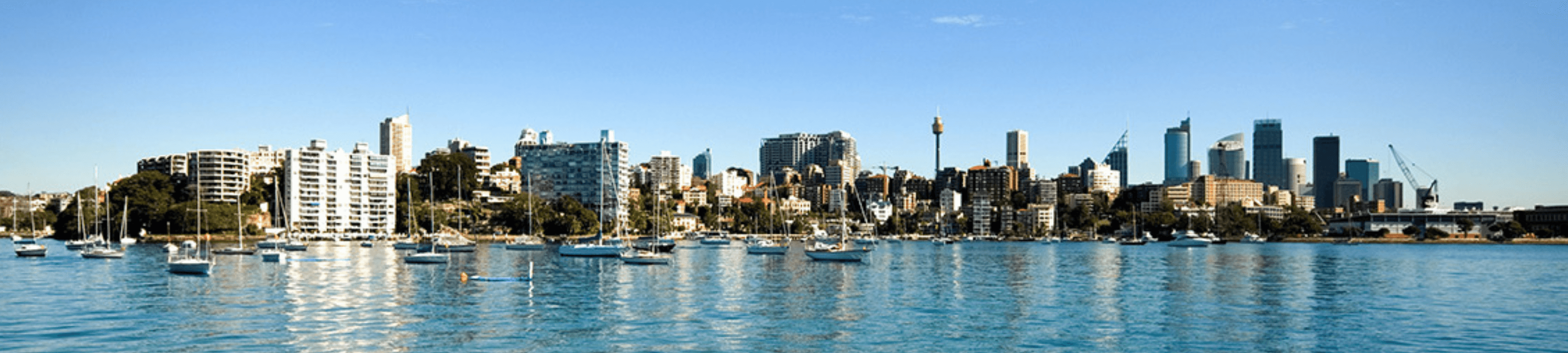 Moresheen Legal cover