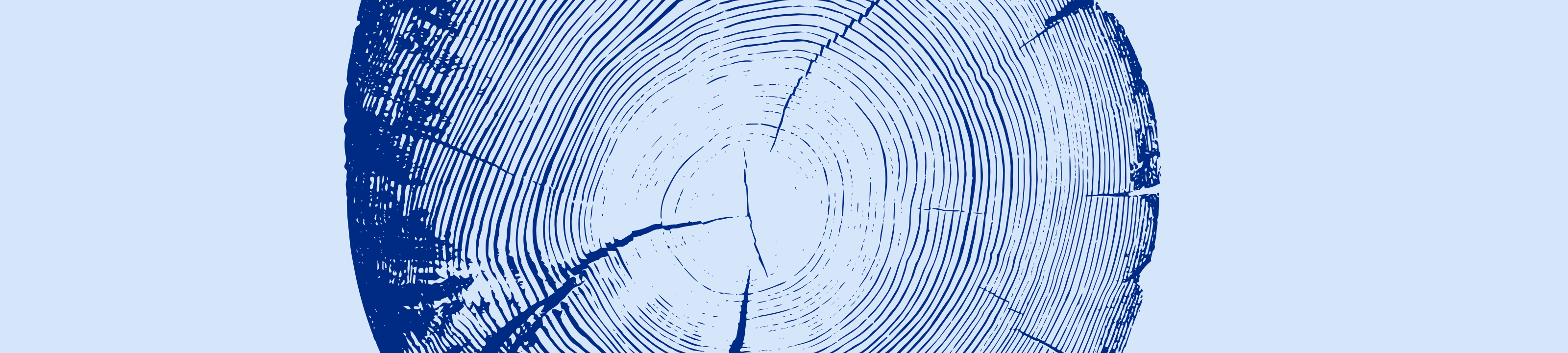 James Shepherd cover