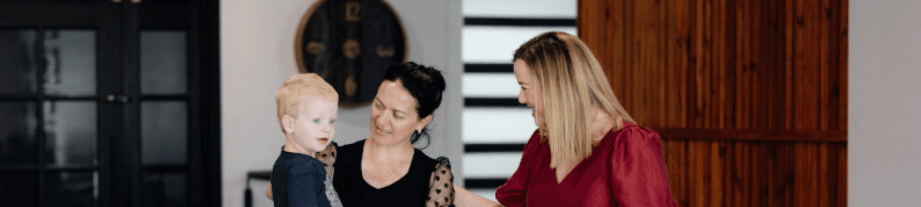 The Family Law Professionals cover