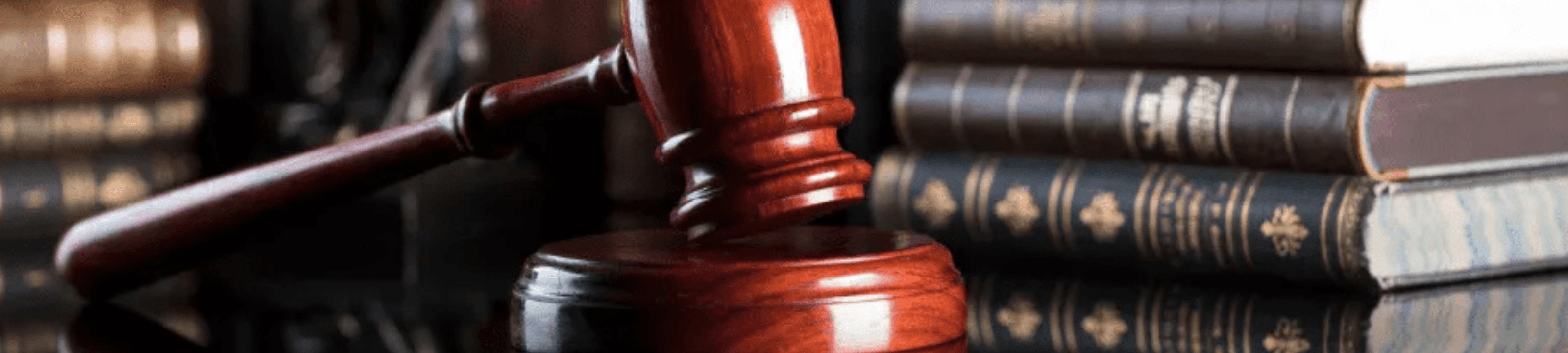 Misko Vujnovic cover