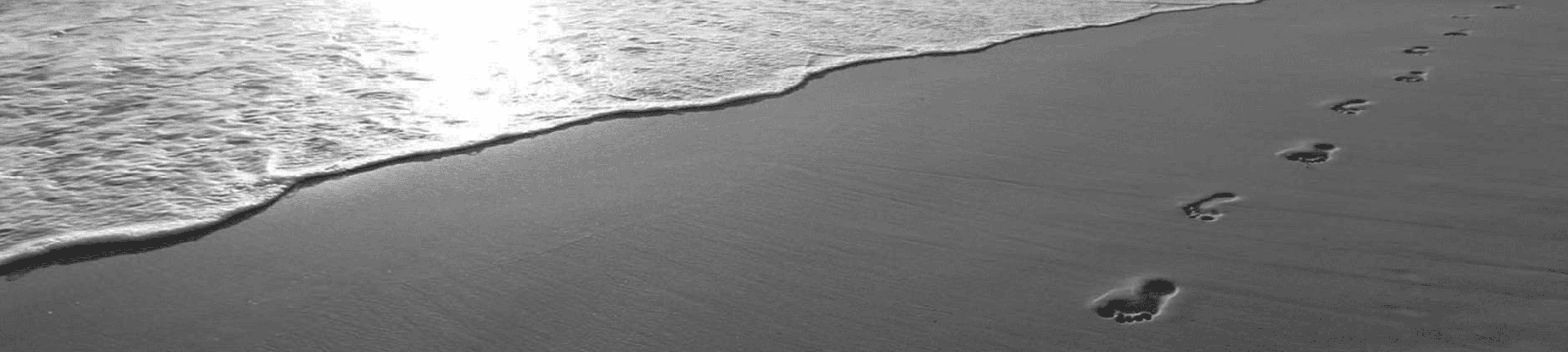 Fourtree Lawyers cover