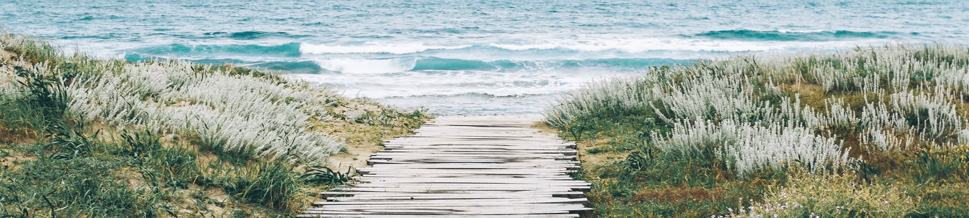 Alison English cover