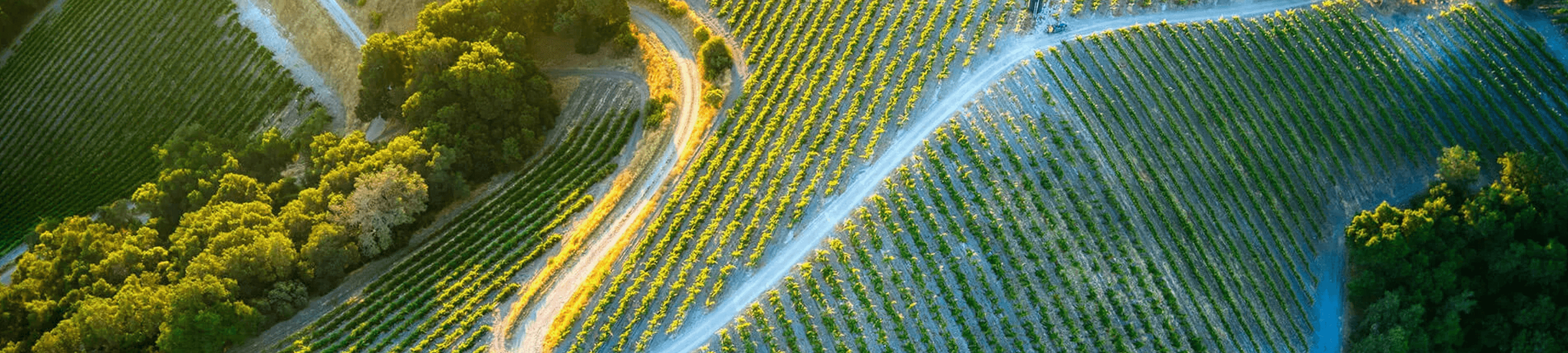 Kenneth Stanton cover