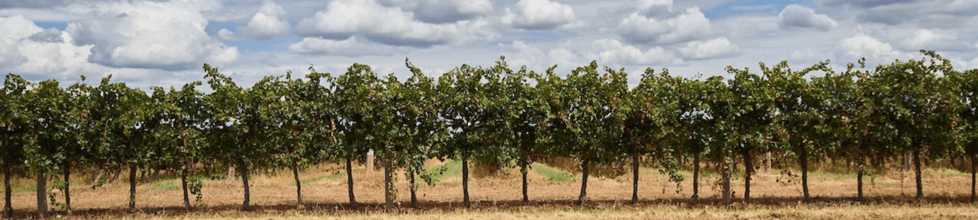 Boston Edwards cover