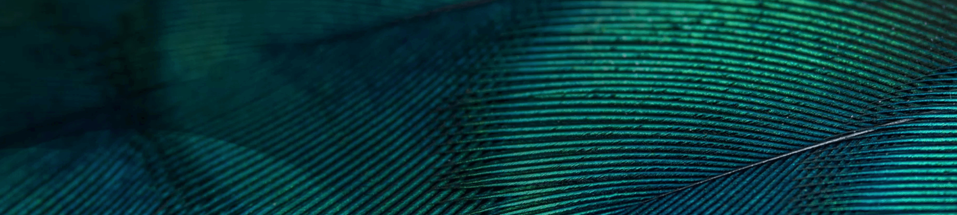 Ollie Najdenska cover